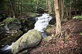 Abbey Pond Trail 2017